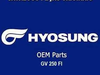 CATALOGO PEÇAS GV 250 FI