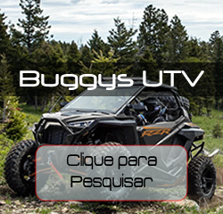 Inserir Buggys e UTVs